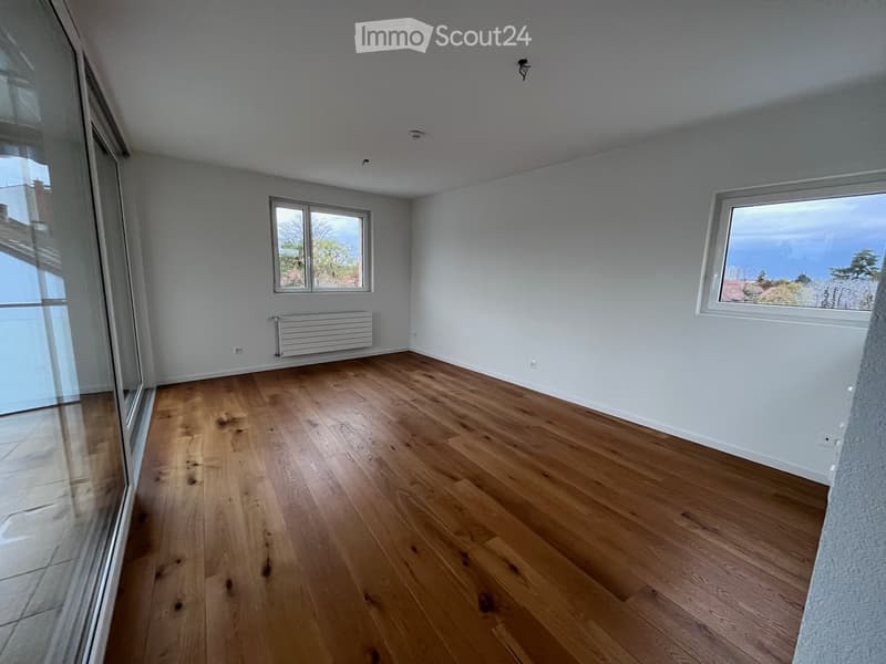 3.5 locali 89m2 Sottolocazione: Posizione ideale, Terrazza enorme (1)