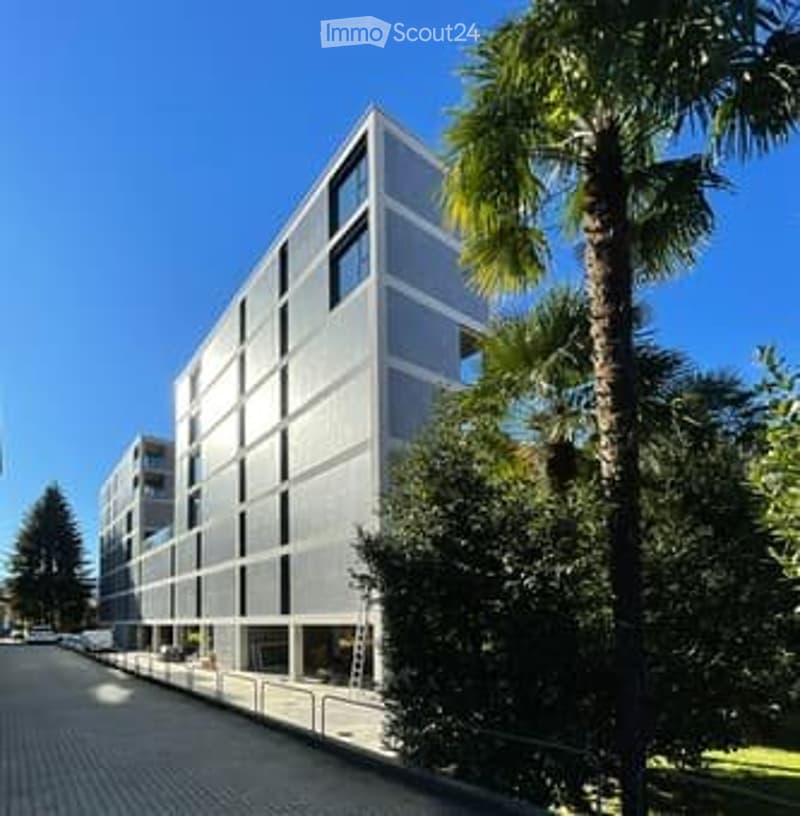 Ad Agno, affittasi bellissimo appartamento di 2½ locali (2)