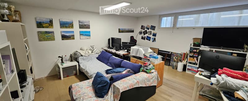 Sale of a single-family house in Riva San Vitale (1)