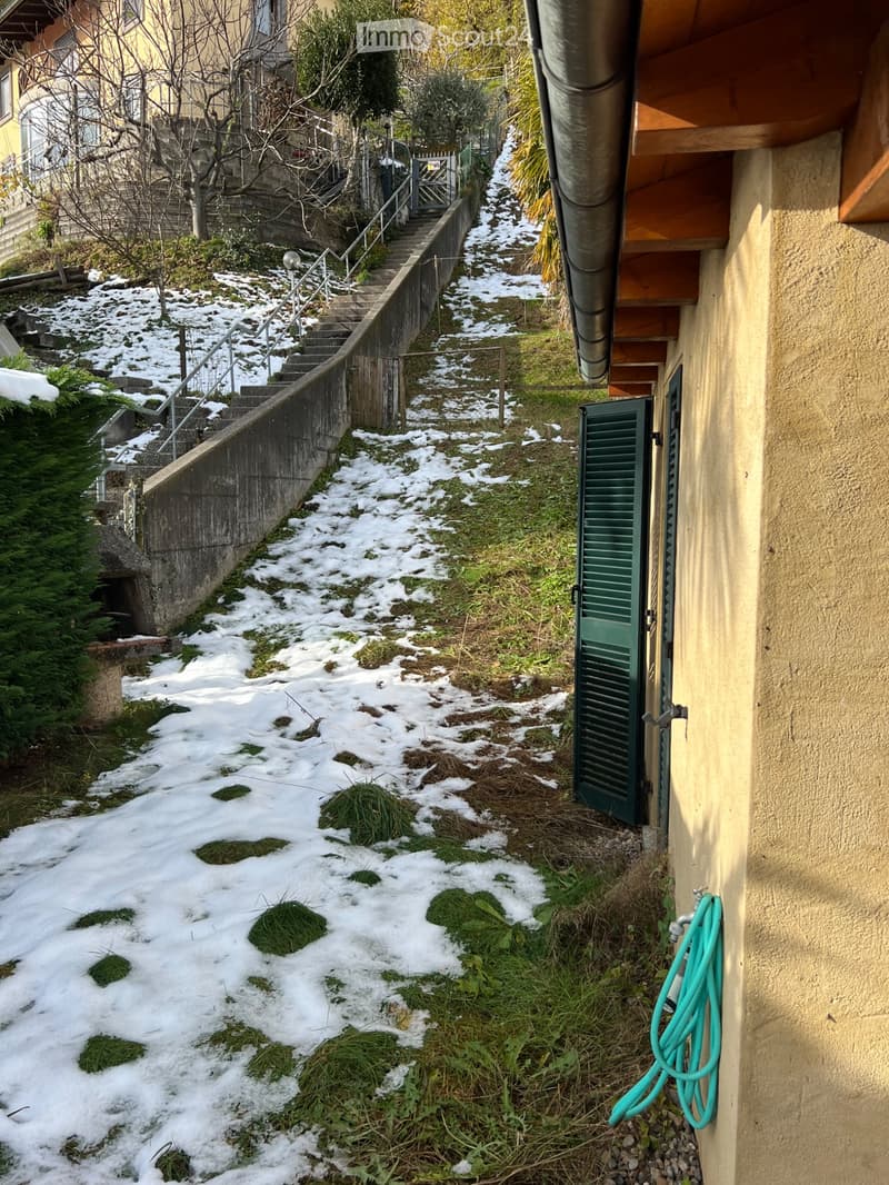 Subletter for large apartment with private garden (4)