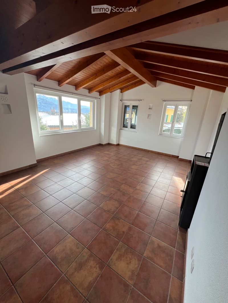 Subletter for large apartment with private garden (1)