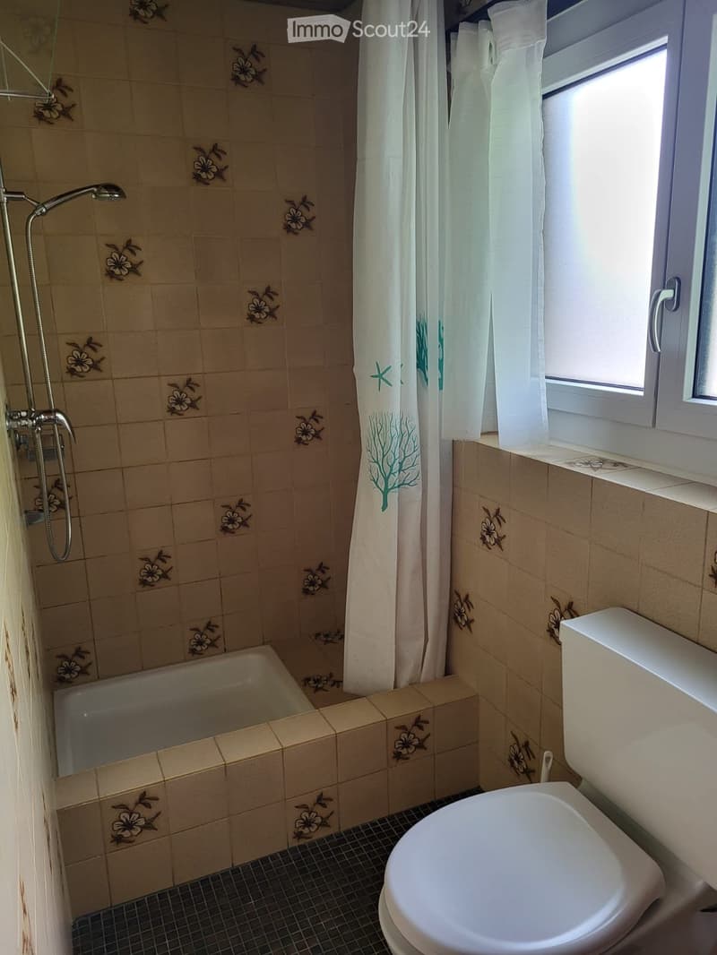 1 Zimmer Wohnung (4)