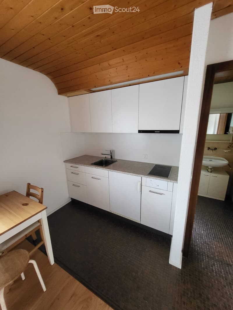 1 Zimmer Wohnung (3)