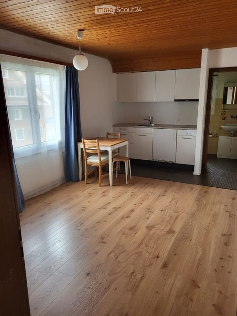 1 Zimmer Wohnung (1)