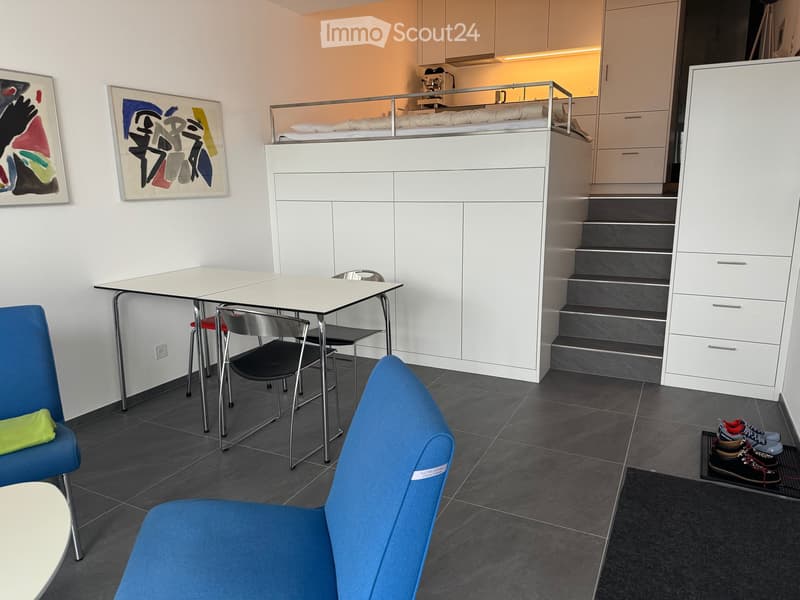 Studio petit et raffiné (1)