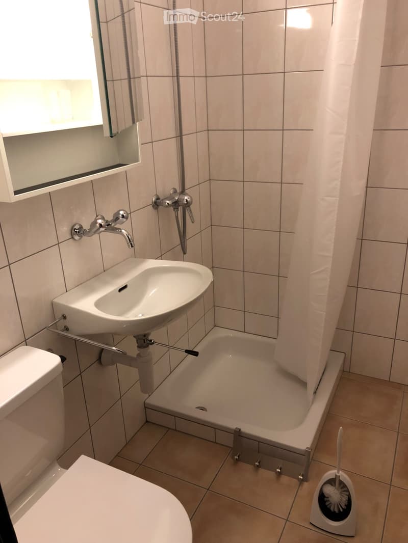 Studio petit et raffiné (3)