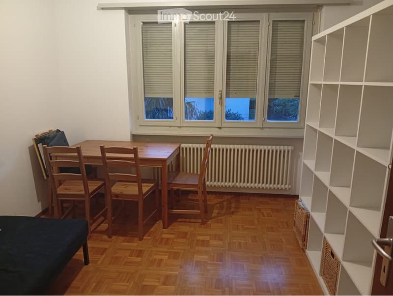 Subtenant 1.5 rooms Lugano (1)