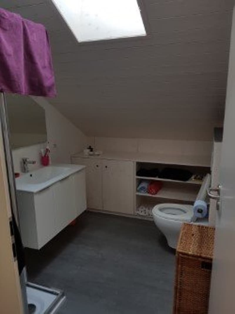 Duplex Minergie Apartment Airolo-Valle (4)