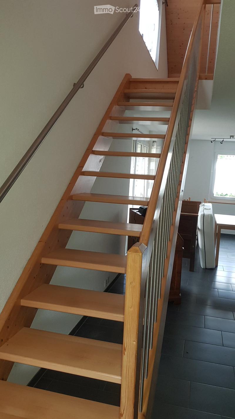 Appartamento Loft di 2,5 Locali (2)