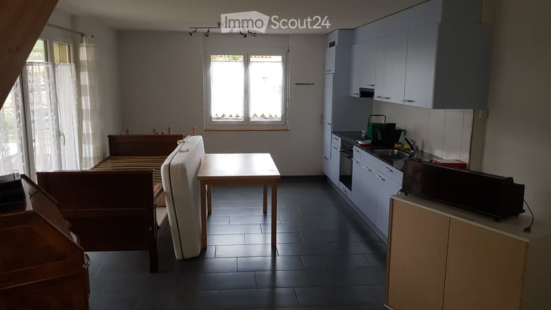 Appartamento Loft di 2,5 Locali (1)