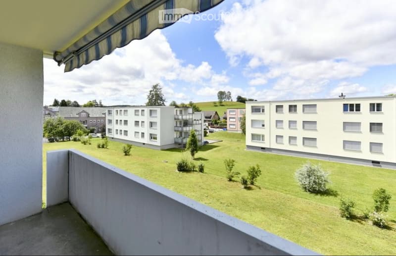 Appartamento 3 camere Fislisbach (5)
