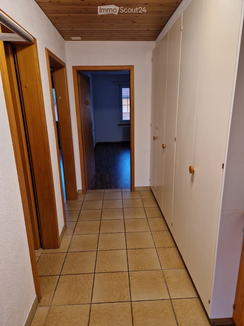 Appartement champêtre beau 3.5 pièces (2)