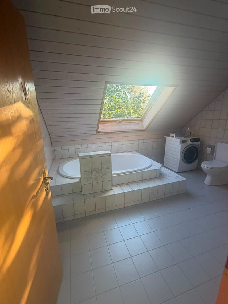 Appartamento da sogno di 3 1/2 locali (3)