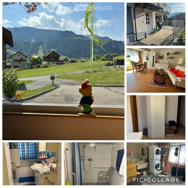 Cozy and sunny 2-room apartment, ground floor, Unteriberg (2)
