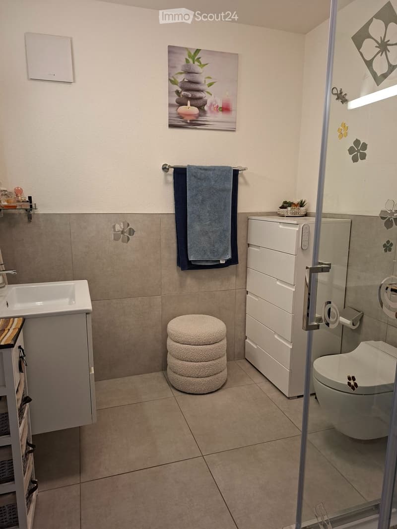 Apartment in Tessin (4)