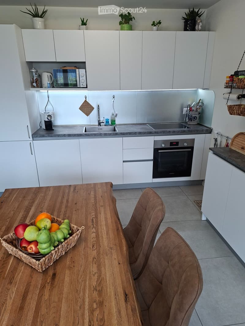 Apartment in Tessin (2)