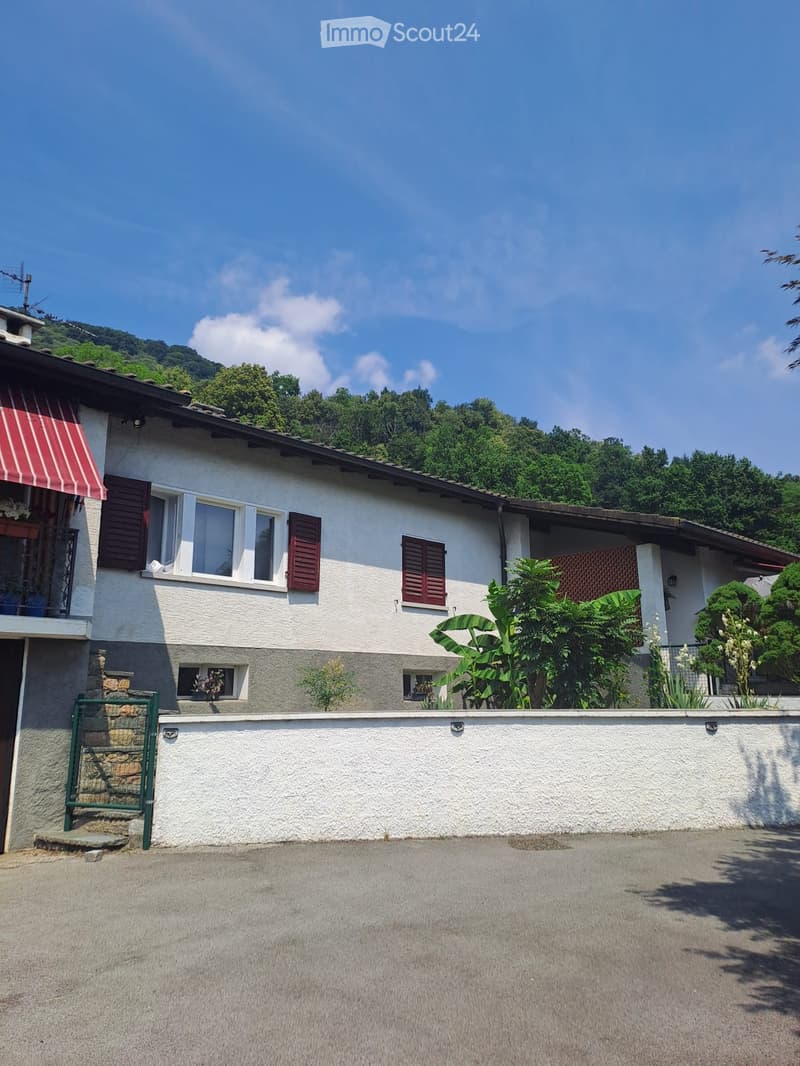 Sessa. Large house, all on one floor (5)