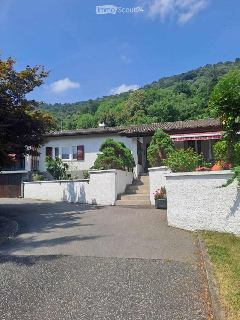 Sessa. Large house, all on one floor (4)