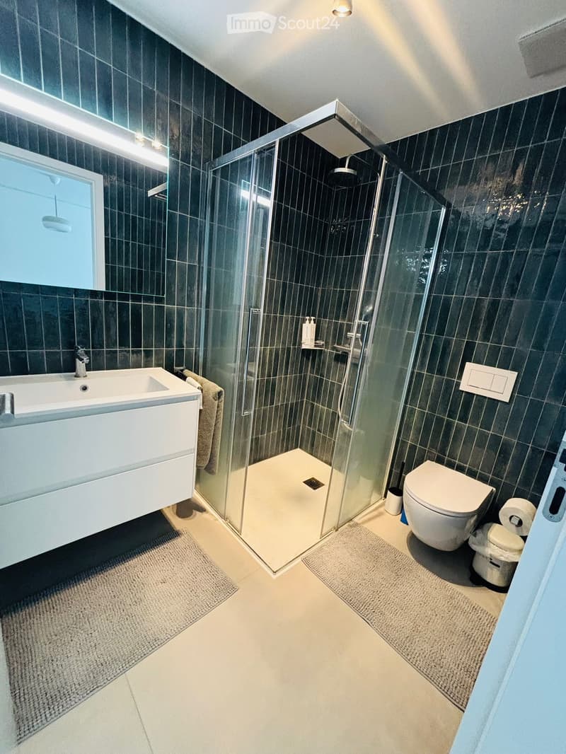 Lugano 2,5 Zimmer Neubau im letzten Stock (50 m²) (4)