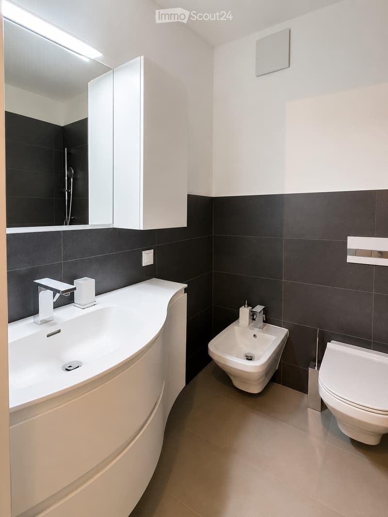 Rent 2 rooms apartment in Bellinzona (4)