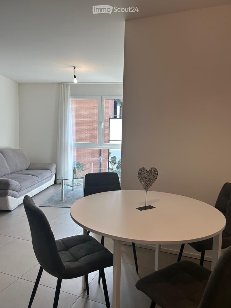 Rent 2 rooms apartment in Bellinzona (2)