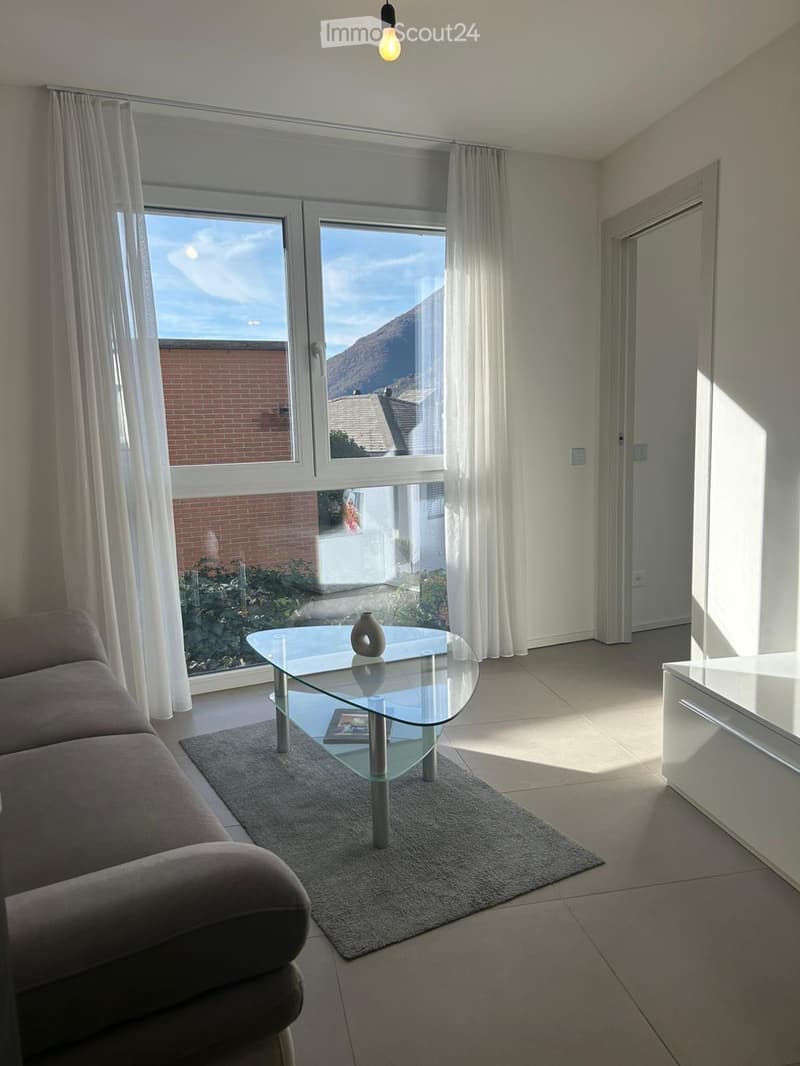 Rent 2 rooms apartment in Bellinzona (1)