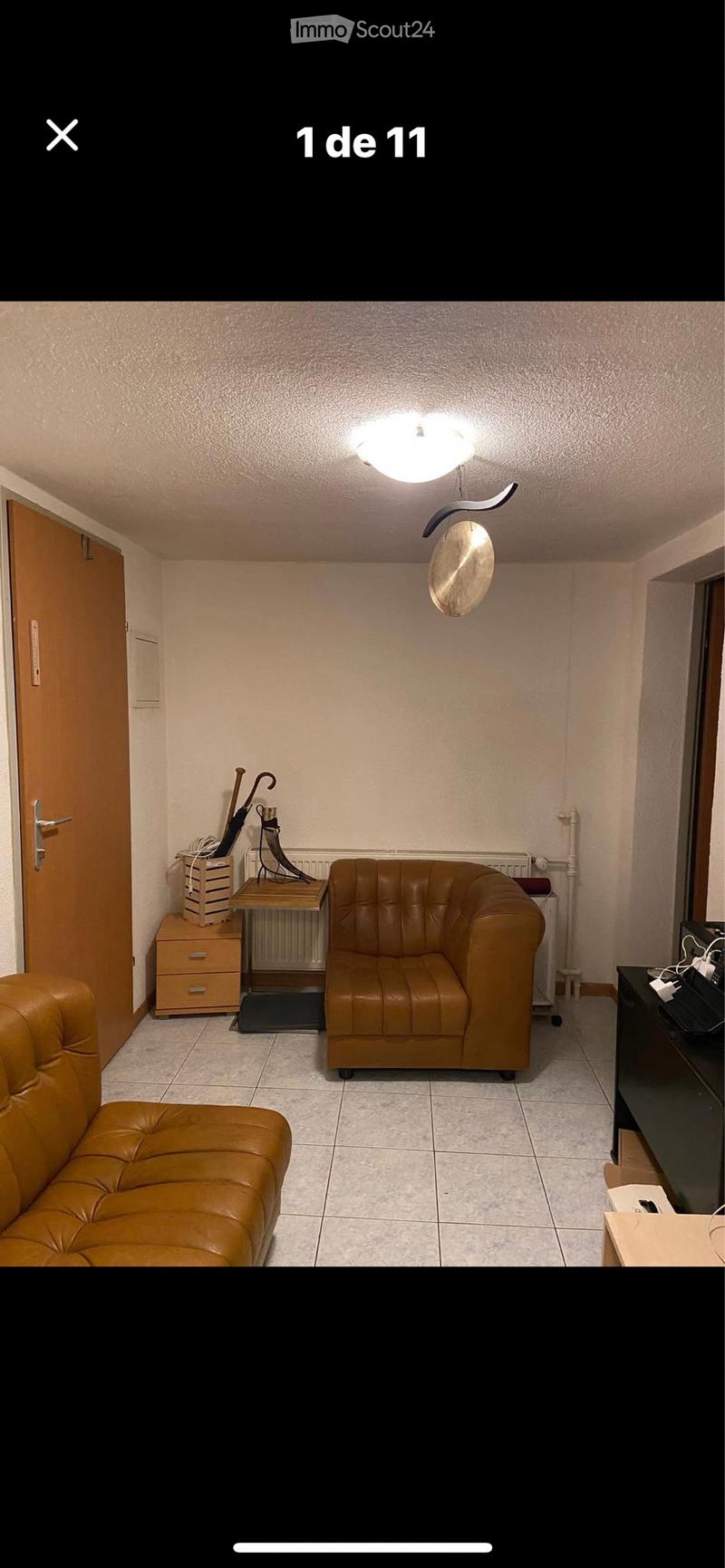MÖBLIERTE 1,5 Zimmer Wohnung (4)