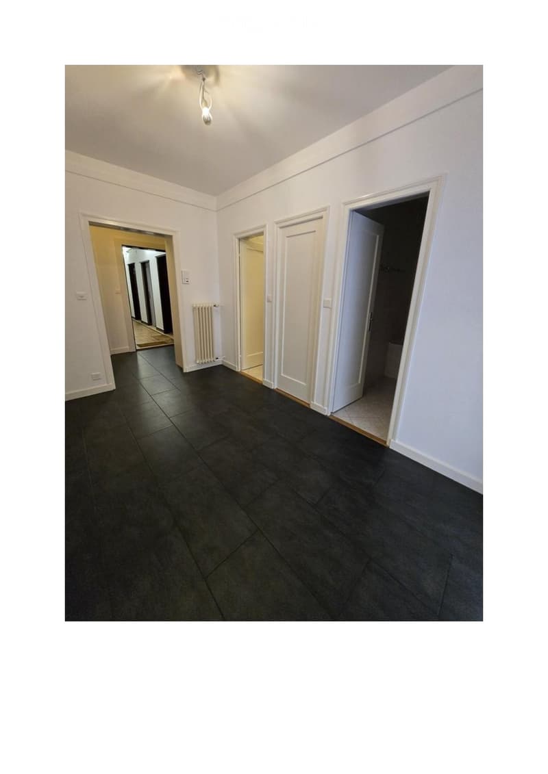 Lausanne - Charming renovated apartment 4.5 rooms, 98 m², balcony (2)