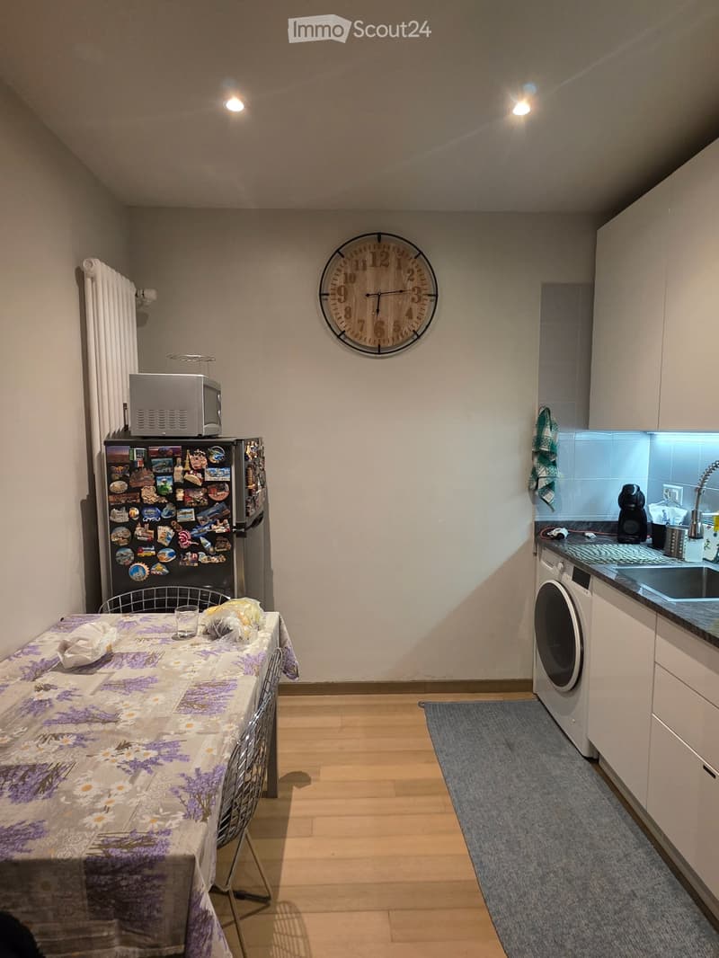 Sublet for apartment in Lugano (1)