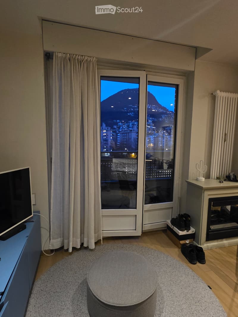 Sublet for apartment in Lugano (5)