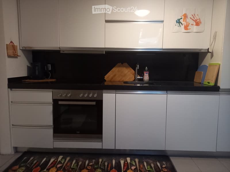 Großzügige Wohnung in idyllischer Lage zu vermieten (3)