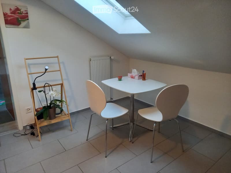 Großzügige Wohnung in idyllischer Lage zu vermieten (1)