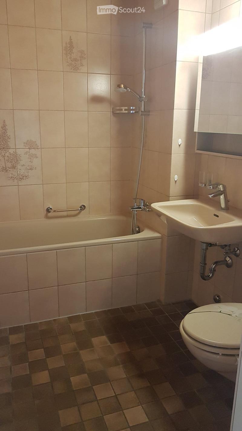 Apartment 3 1/2 rooms with private laundry room (3)