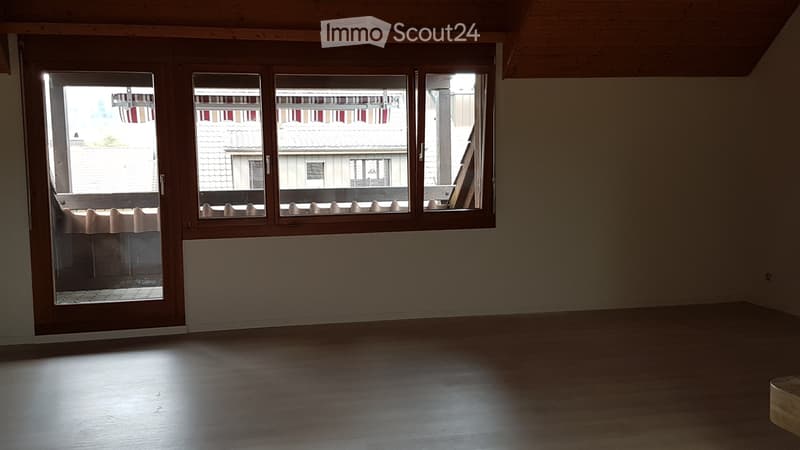 Apartment 3 1/2 rooms with private laundry room (5)