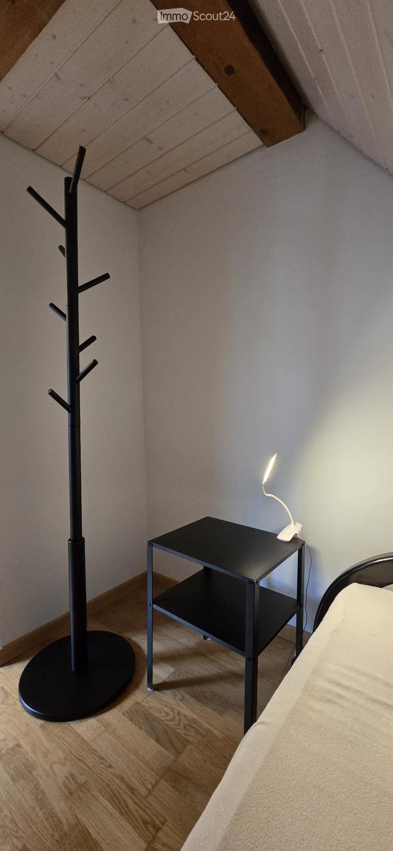 Attic room for rent (3)