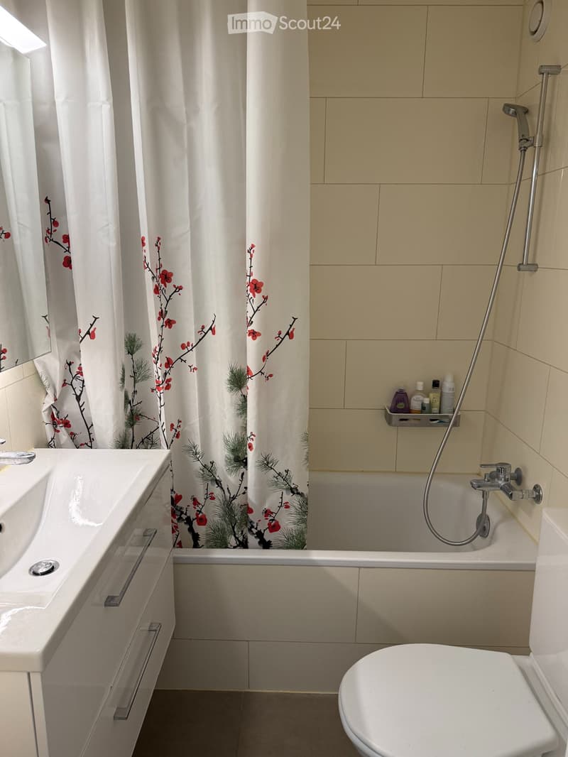 1.5-Zimmerwohnung in Adliswil ab 1. August 2026 verfügbar (2)