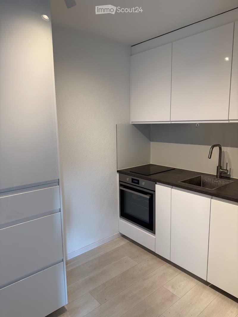 1.5-Zimmerwohnung in Adliswil ab 1. August 2026 verfügbar (1)