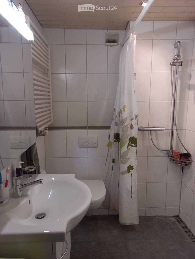 Stöckli-Wohnung /parterre (5)