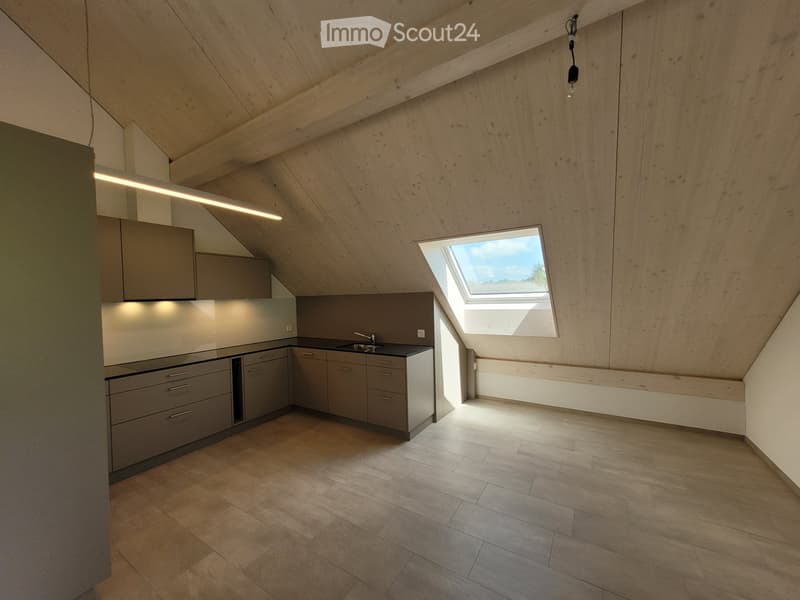 4 Camere Appartamento Mansardato (3)