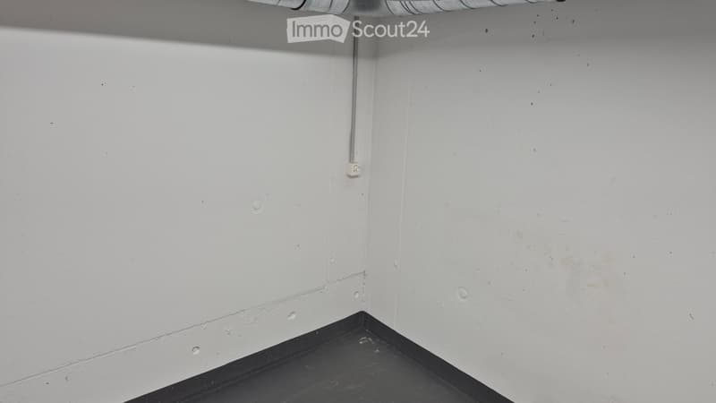 Storage/Hobby Room in Basement Ventilated with Power Connection Available Immediately (4)