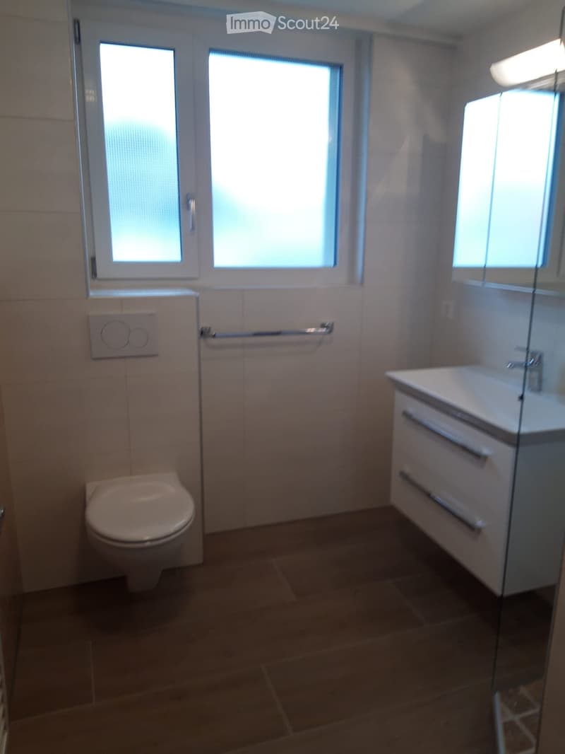3.5 Room Apartment (4)