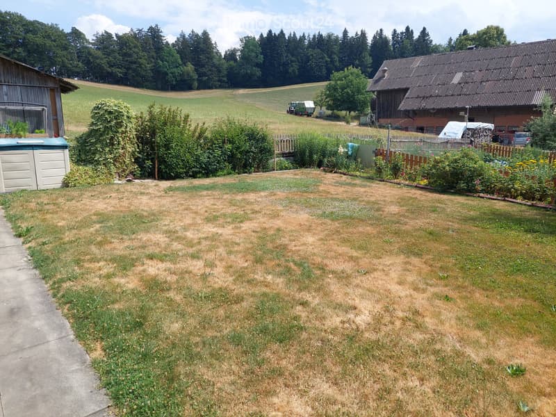 2,5 pièces dans le vert (4)