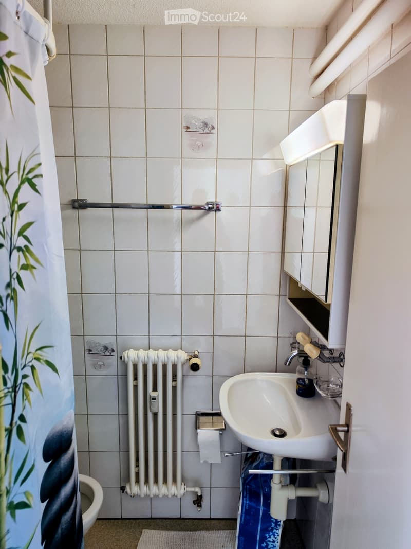 Studio Apartment in Thun - Subtenant Wanted (5)