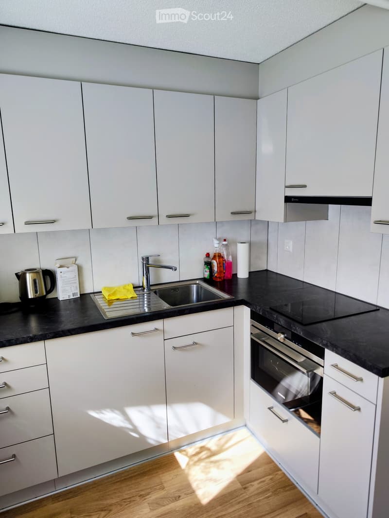 Studio Apartment in Thun - Subtenant Wanted (2)