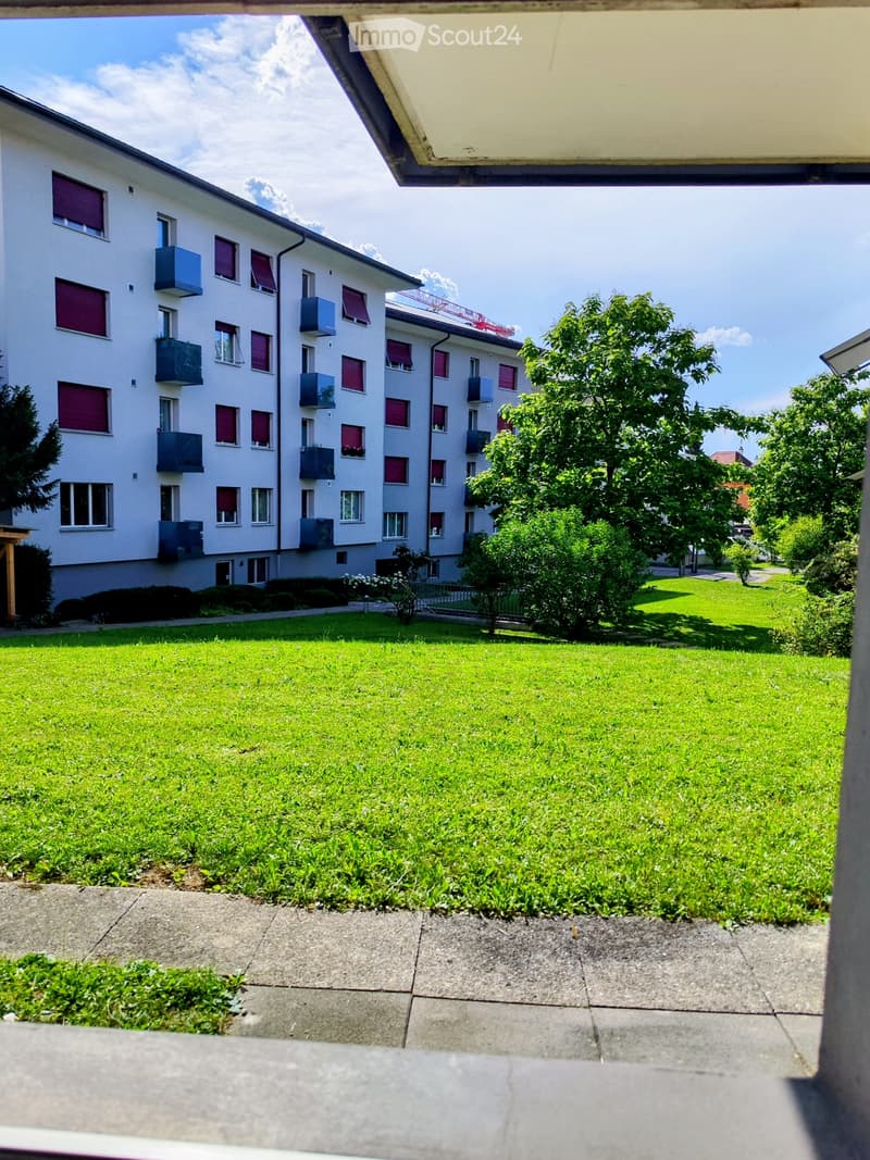 Studio Apartment in Thun - Subtenant Wanted (1)