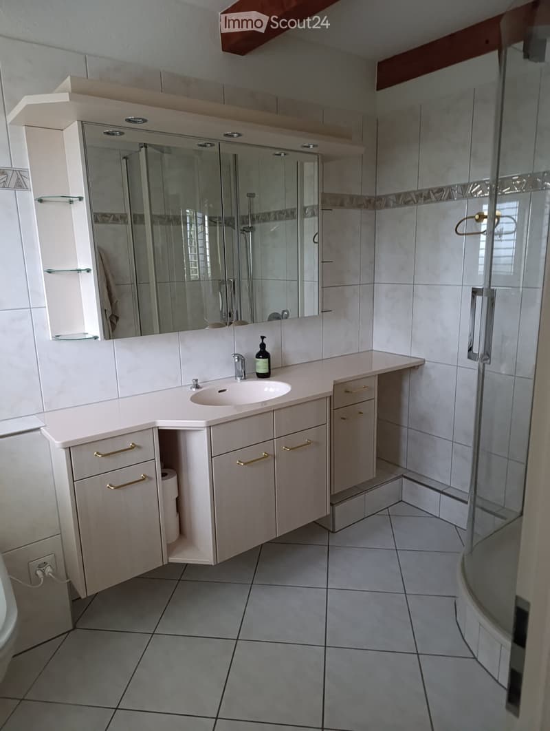 Tenant sought for beautiful house in the green (4)