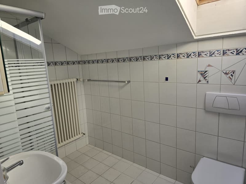 2.5 Zimmer Dachwohnung (5)
