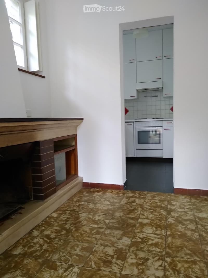 Mietwohnung 5.5 Zimmer (5)