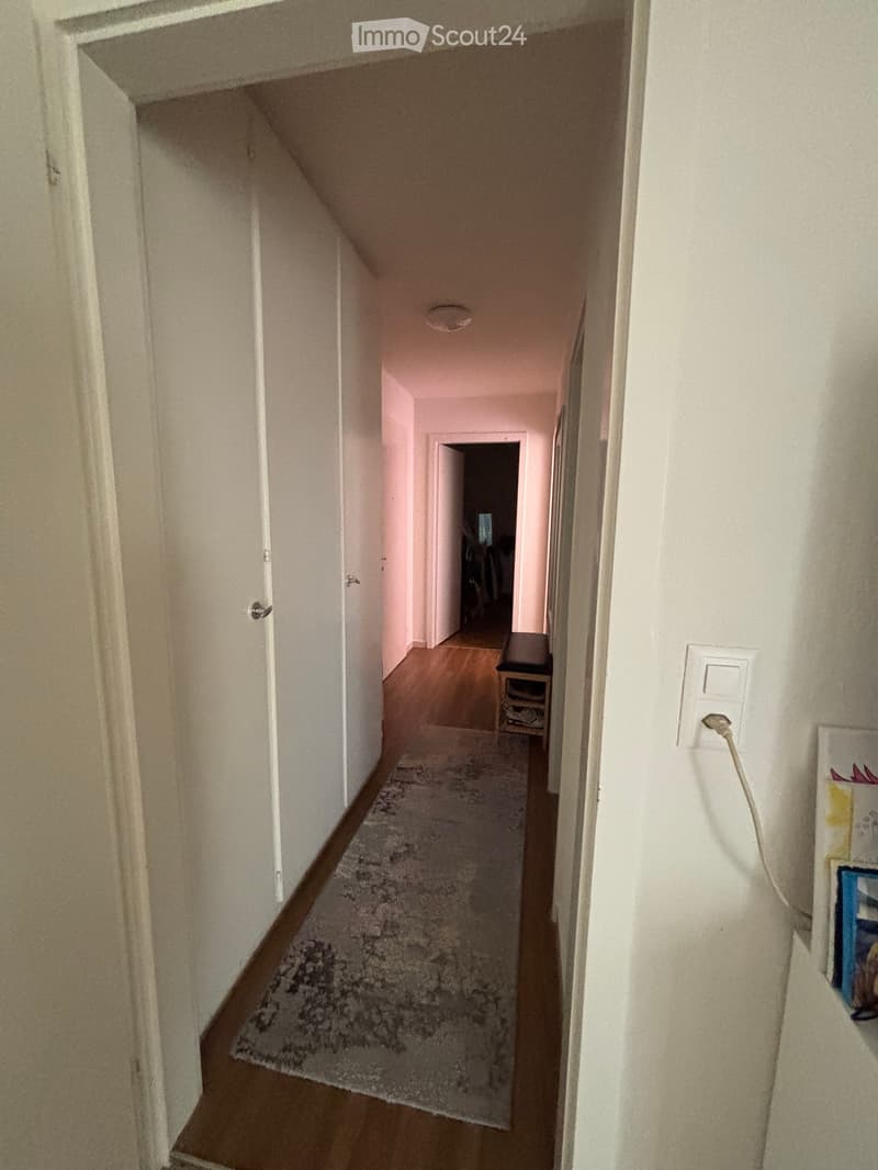 2.5 Room Apartment for Sublet (5)