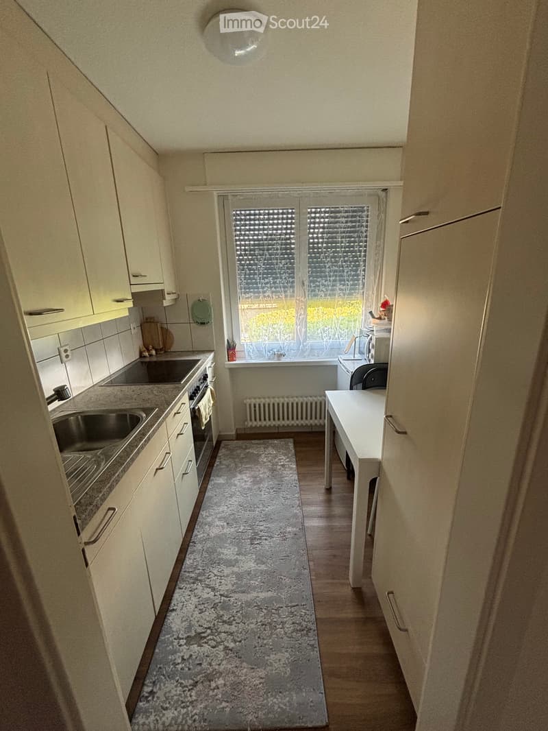 2.5 Room Apartment for Sublet (3)